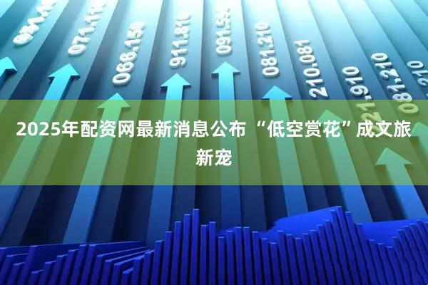 2025年配资网最新消息公布 “低空赏花”成文旅新宠